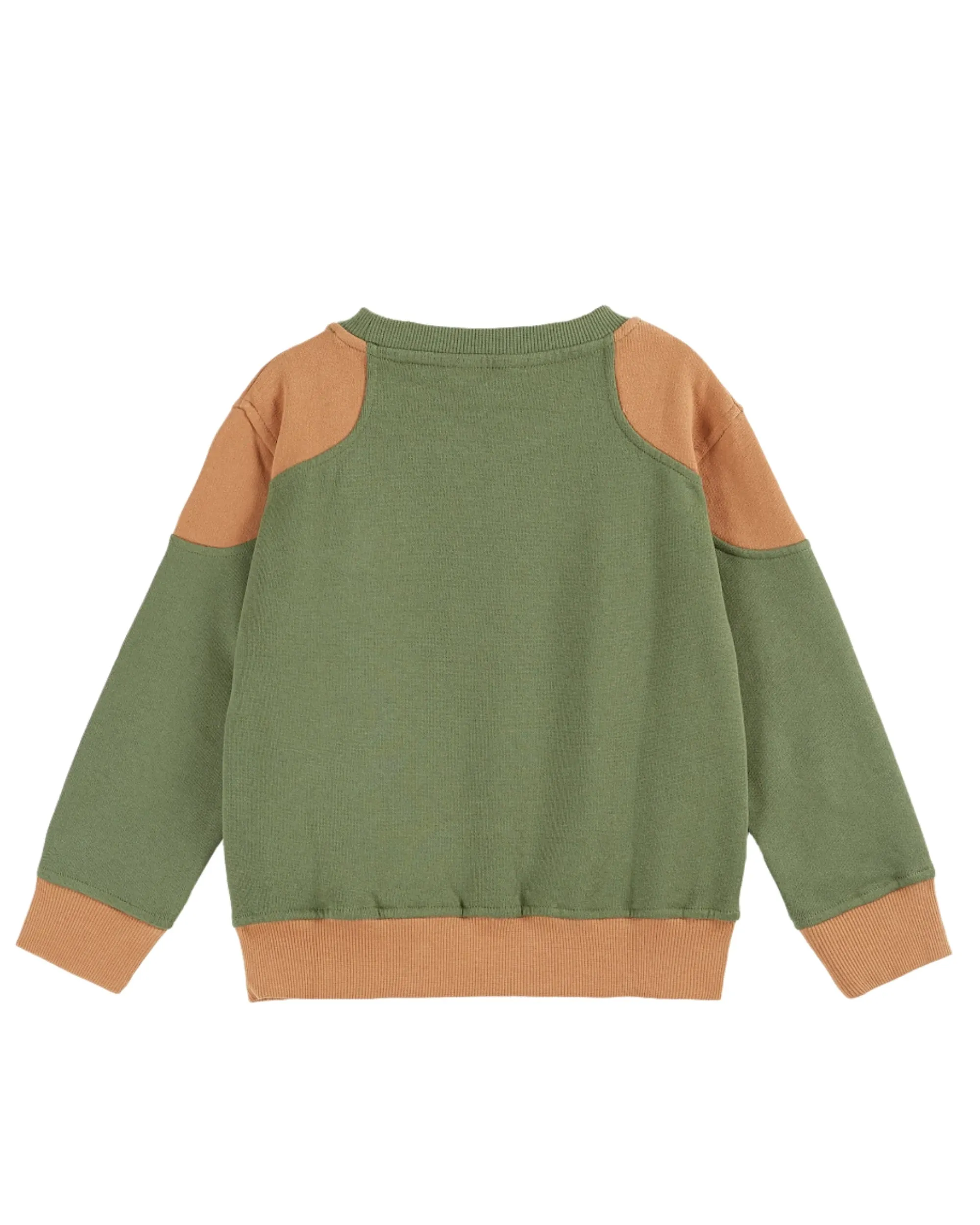 Bicolor Sweatshirt in Forest