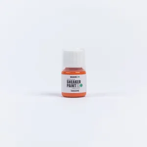 SNEAKERS ER PREMIUM SNEAKER PAINTER PAINT 30ml TANGERINE